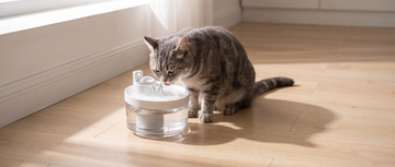 A grey tabby cat drinking from the Wireless Cat Water Fountain on a kitchen floor