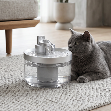 Grey cat sitting next to automatic water fountain EDEN.
